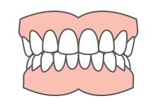 Complete Dentures Icon